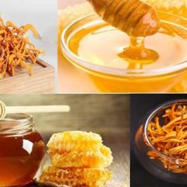 Tác dụng của đông trùng hạ thảo ngâm mật ong và cách dùng tốt nhất giúp bồi bổ sức khoẻ, sáng mịn da