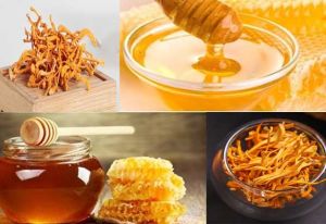 Tác dụng của đông trùng hạ thảo ngâm mật ong và cách dùng tốt nhất giúp bồi bổ sức khoẻ, sáng mịn da